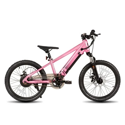 Bicicletă electrică de 20 inch pentru adolescenți
